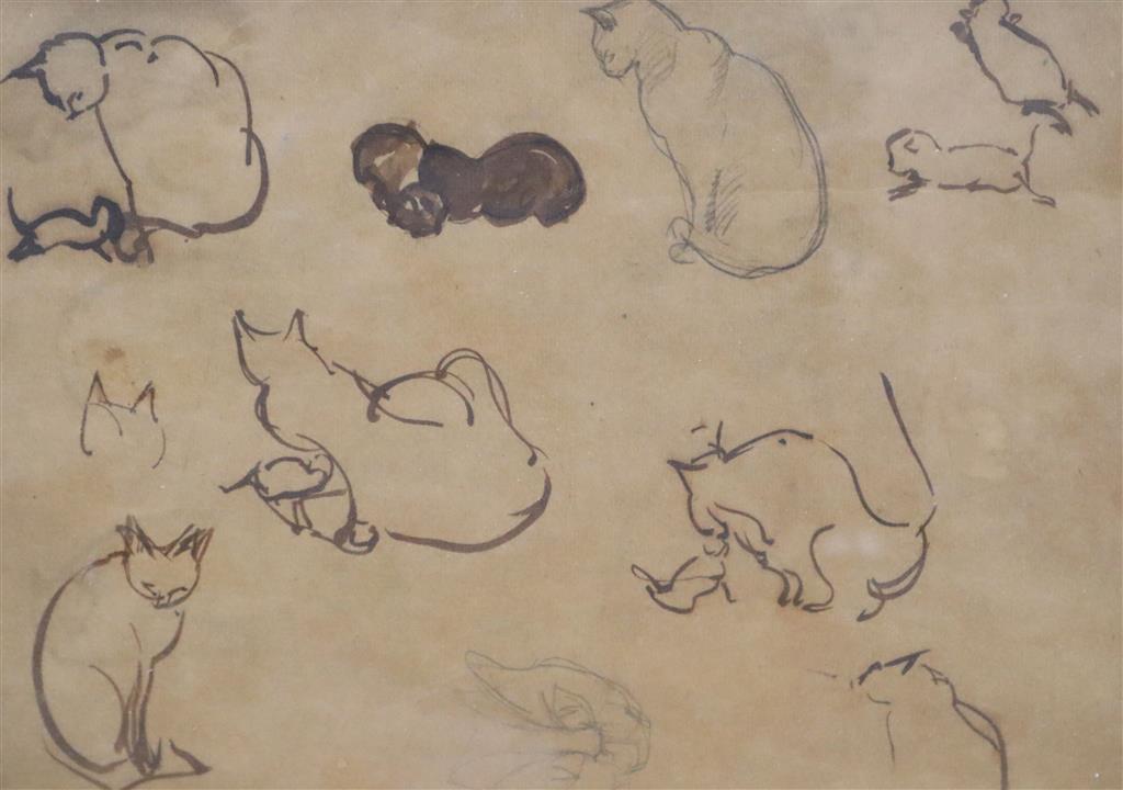 Modern British, ink on brown paper, Studies of cats, 19 x 28cm